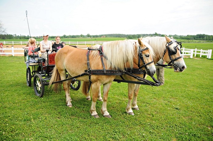 Nie różnimy się niczym, poza wielkością zdjęcie nr 70599