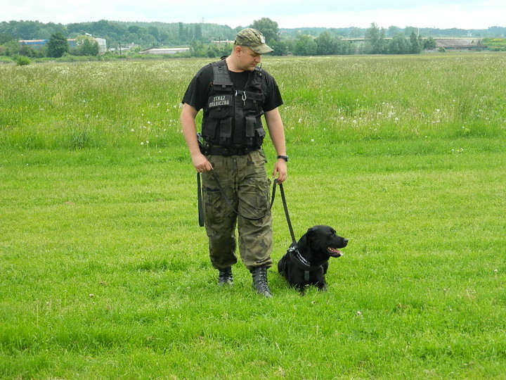 Festyn na lotnisku zdjęcie nr 70766