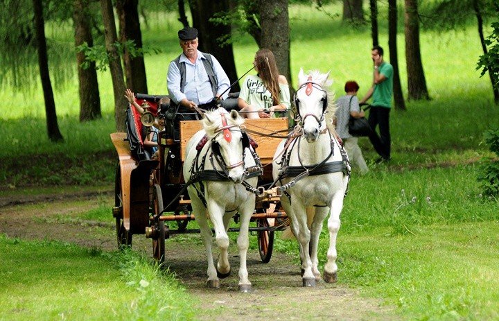 Urodziny pod znakiem piegów zdjęcie nr 70782
