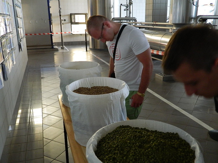 Na piwnych ścieżkach browaru zdjęcie nr 72287