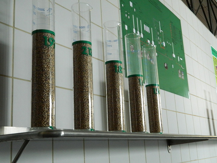 Na piwnych ścieżkach browaru zdjęcie nr 72285