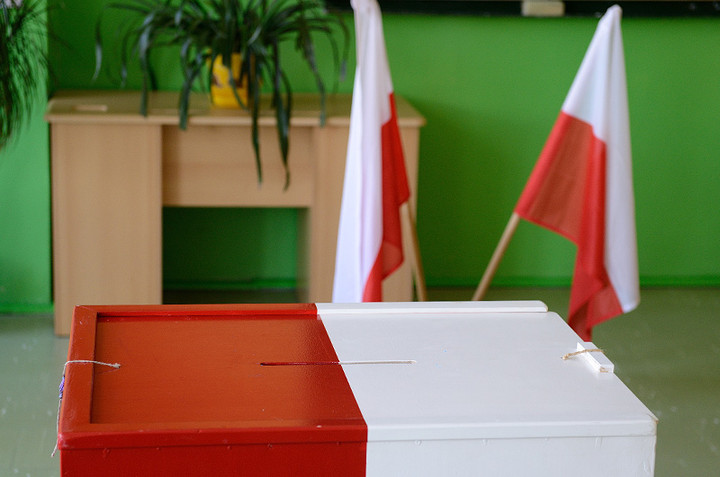 Elbląg Tak głosowali Gelert i Wilk