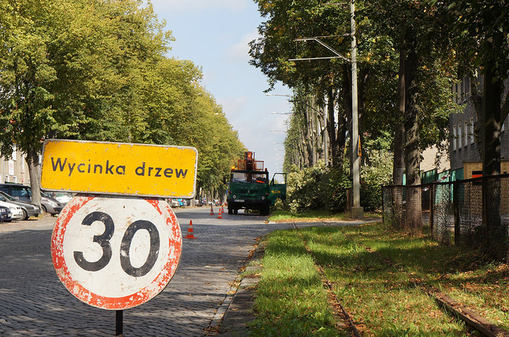 Elbląg Będzie bezpieczniej - bez lipy