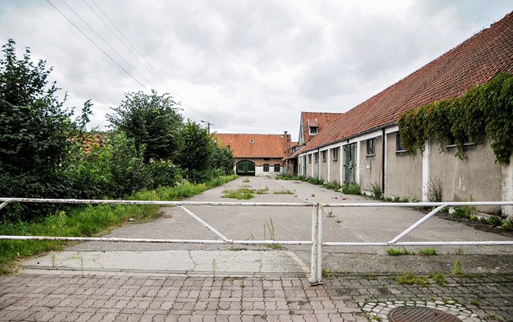 Stadnina w Kadynach zdjęcie nr 78523