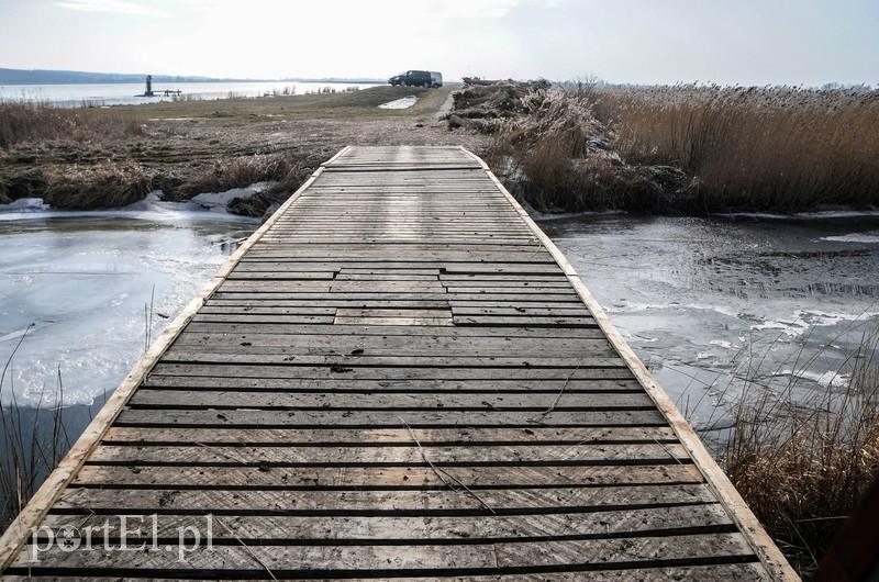 Jest już zimno? Zatem czas kosić trzcinę zdjęcie nr 82256