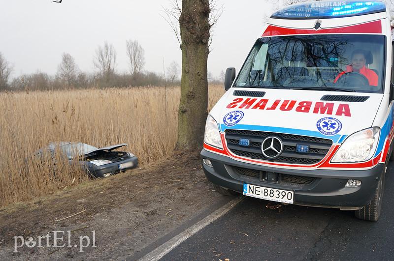 Karczowiska Górne: fordem w drzewo zdjęcie nr 82779