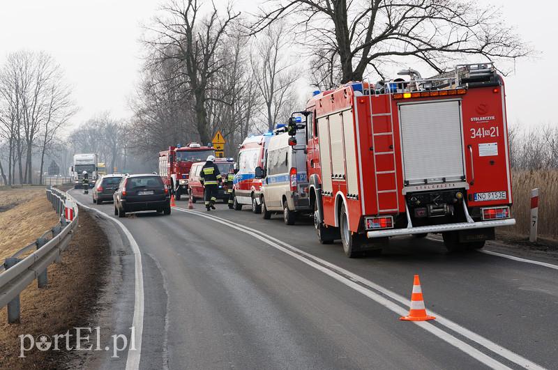 Elbląg Karczowiska Górne: fordem w drzewo