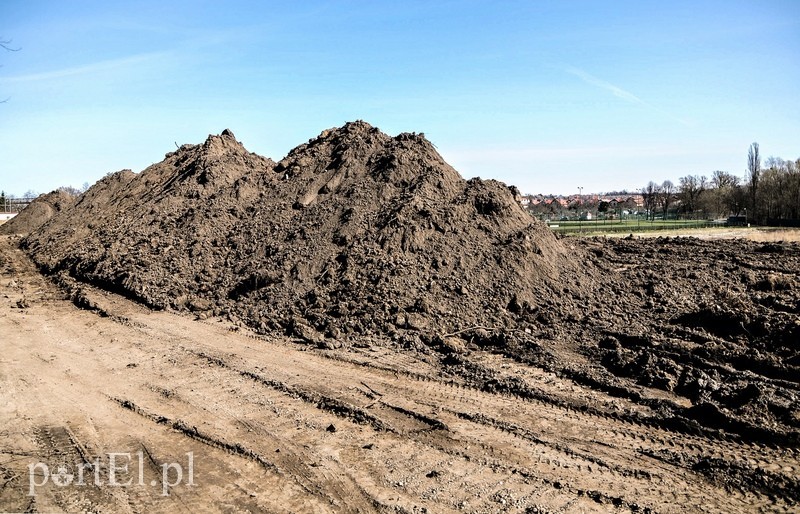 Równają teren pod budowę basenu zdjęcie nr 85158