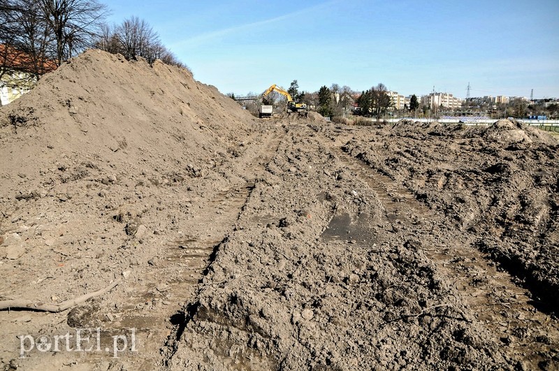 Równają teren pod budowę basenu zdjęcie nr 85154