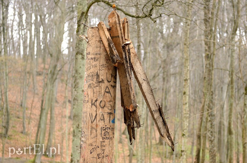 Dokończyli dzieło zniszczenia zdjęcie nr 85439