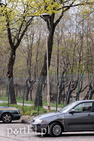 Legionów: droga przez mękę zdjęcie nr 87015