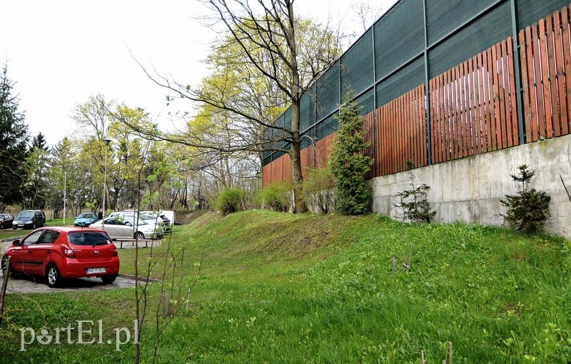 Legionów: droga przez mękę zdjęcie nr 87019