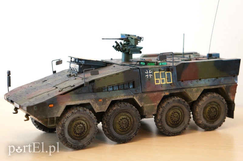 Pasja, która daje "zdrowego kopa" zdjęcie nr 87530