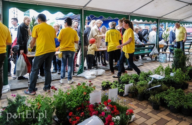 VII Elbląskie Dni Recyklingu zdjęcie nr 87588