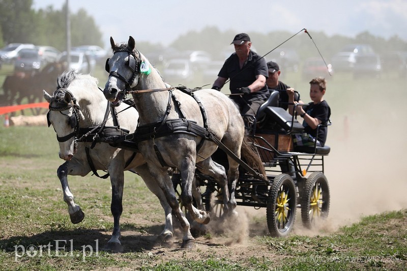 Piknik Zaprzęgowy w Piastowie zdjęcie nr 88729