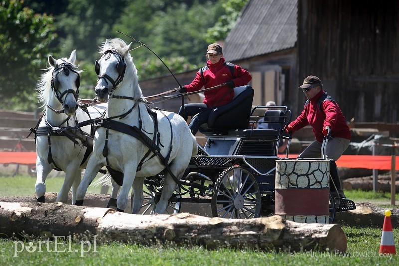 Piknik Zaprzęgowy w Piastowie zdjęcie nr 88712