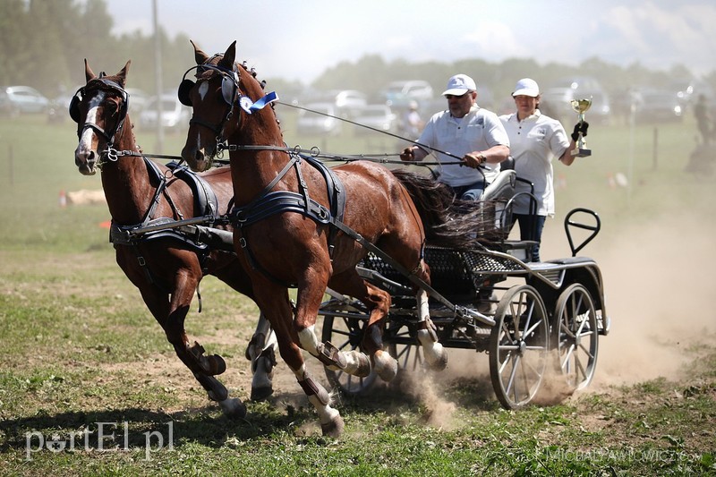Piknik Zaprzęgowy w Piastowie zdjęcie nr 88730