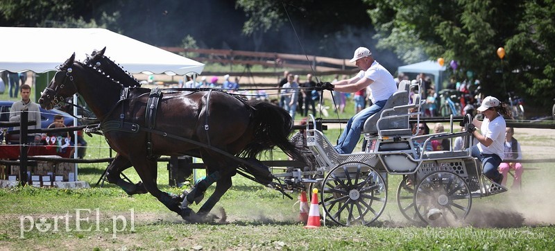 Piknik Zaprzęgowy w Piastowie zdjęcie nr 88718