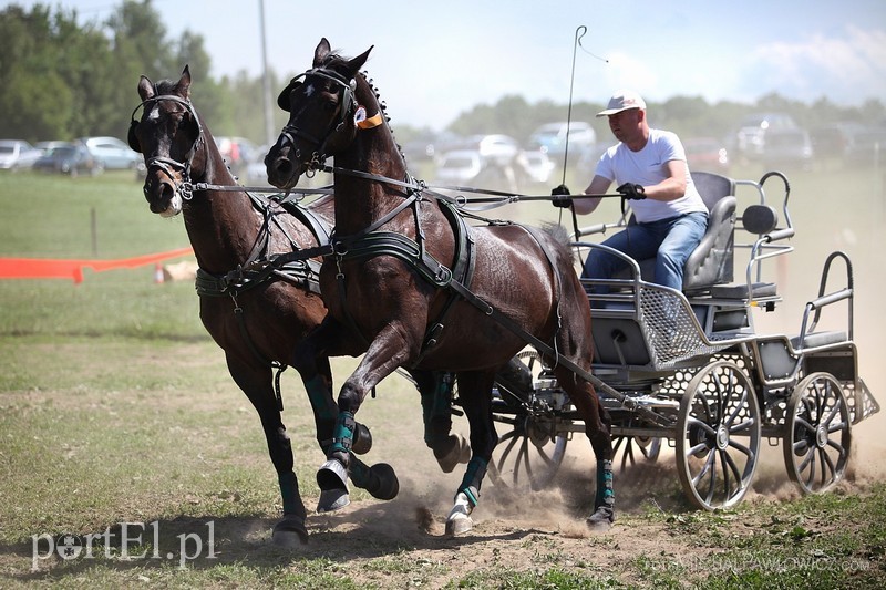 Piknik Zaprzęgowy w Piastowie zdjęcie nr 88728