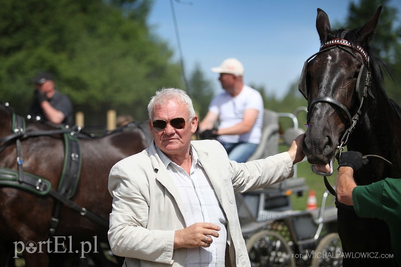 Piknik Zaprzęgowy w Piastowie zdjęcie nr 88724