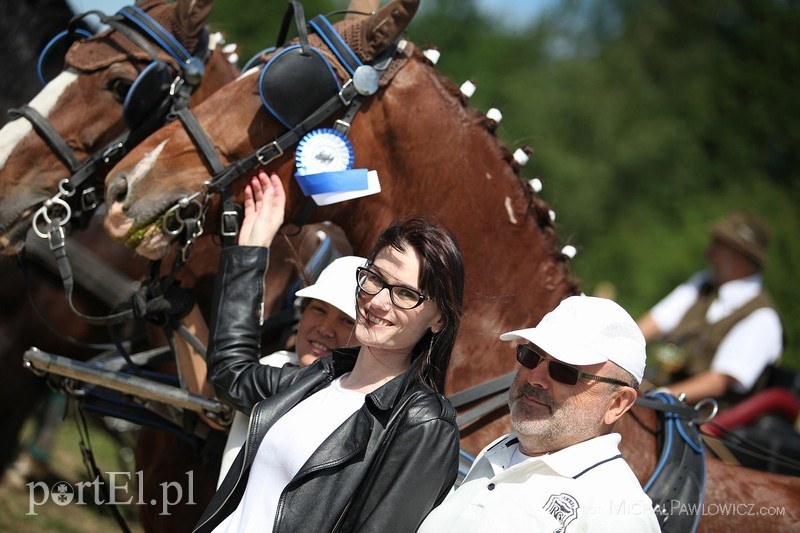 Piknik Zaprzęgowy w Piastowie zdjęcie nr 88725