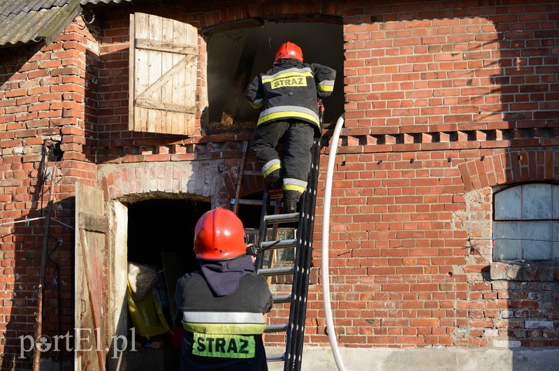 Pożar w Karczowiskach Górnych zdjęcie nr 90600