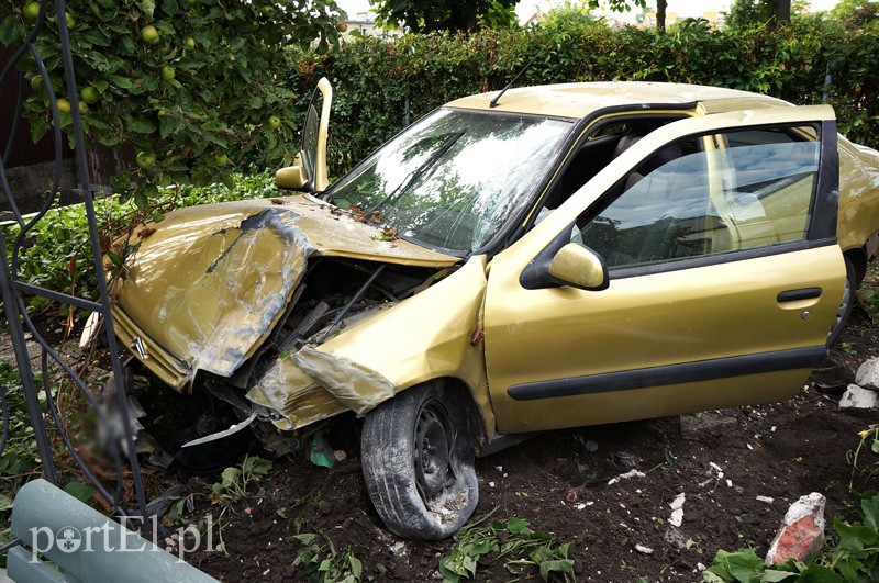 Citroenem wpadł do ogródka zdjęcie nr 91004