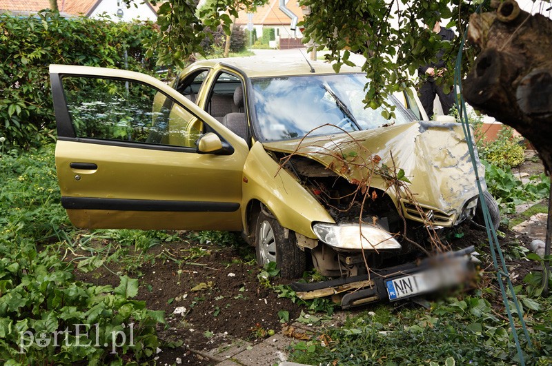 Citroenem wpadł do ogródka zdjęcie nr 91006