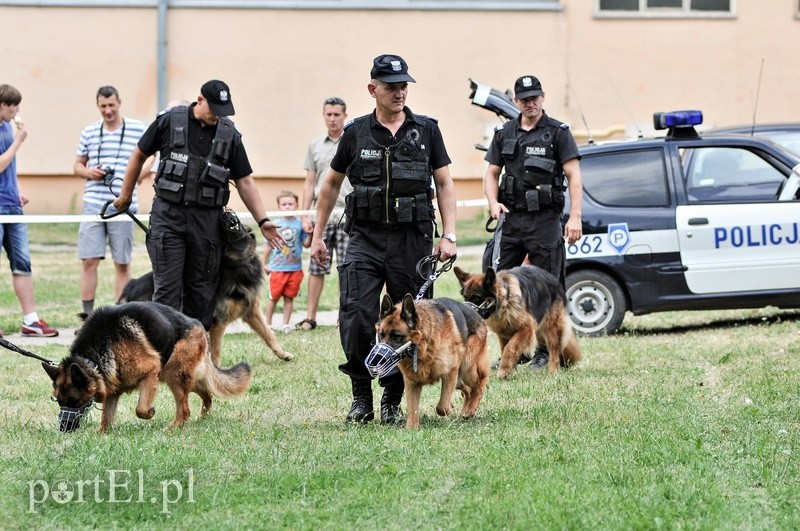 Gdy będę duży zostanę policjantem… zdjęcie nr 91710