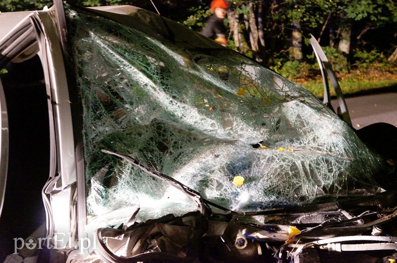 Peugeotem w drzewo: kierowca w szpitalu zdjęcie nr 92035