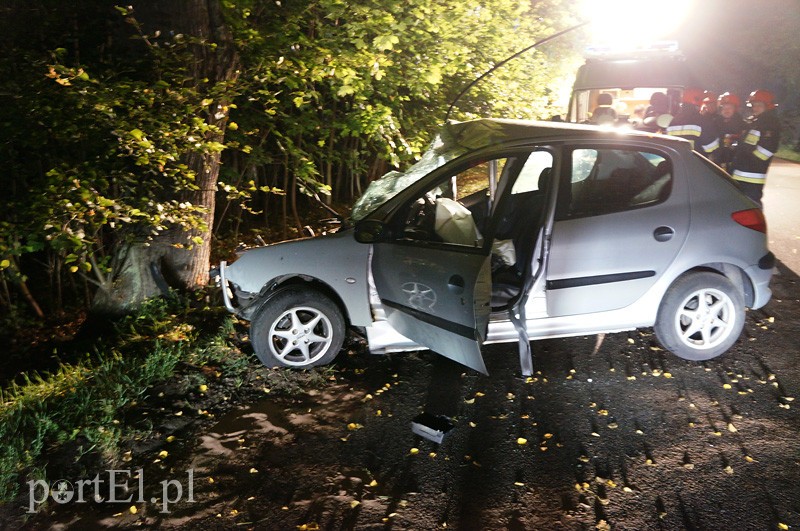 Peugeotem w drzewo: kierowca w szpitalu zdjęcie nr 92036