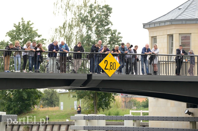 Pływają aż miło. Kibice nie zawiedli zdjęcie nr 92543