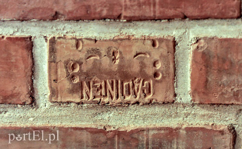 Nieokiełznana, nieujarzmiona, dzika – sobota z przewodnikiem śladem Dzikuski zdjęcie nr 93833