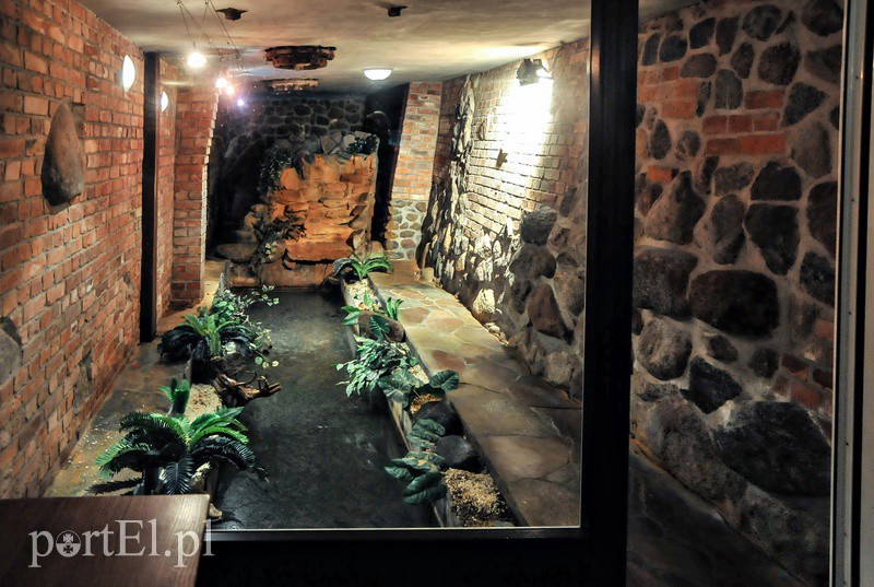 Nieokiełznana, nieujarzmiona, dzika – sobota z przewodnikiem śladem Dzikuski zdjęcie nr 93836