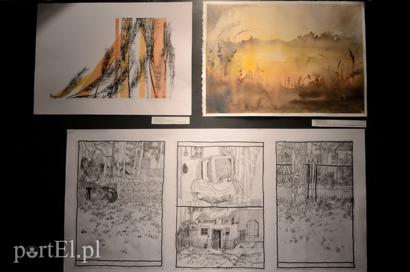 O wsi z pomysłem zdjęcie nr 94808