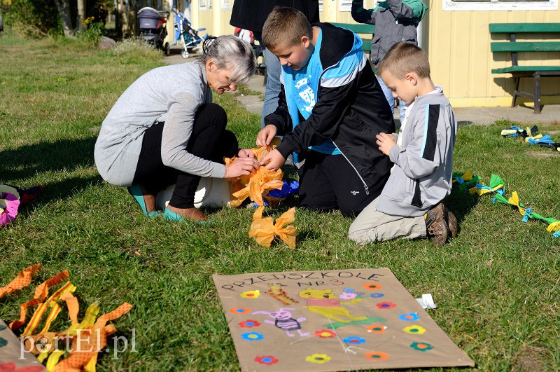 Zawody latawcowe zdjęcie nr 94944