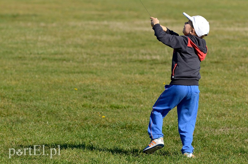 Zawody latawcowe zdjęcie nr 94958