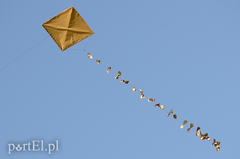 Zawody latawcowe zdjęcie nr 94950