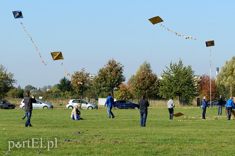 Zawody latawcowe zdjęcie nr 94947