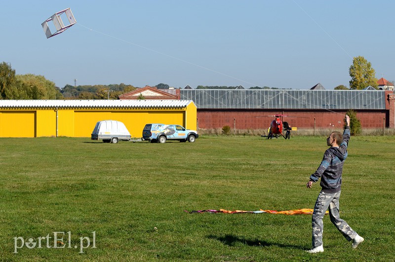 Zawody latawcowe zdjęcie nr 94962