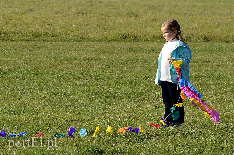 Zawody latawcowe zdjęcie nr 94934