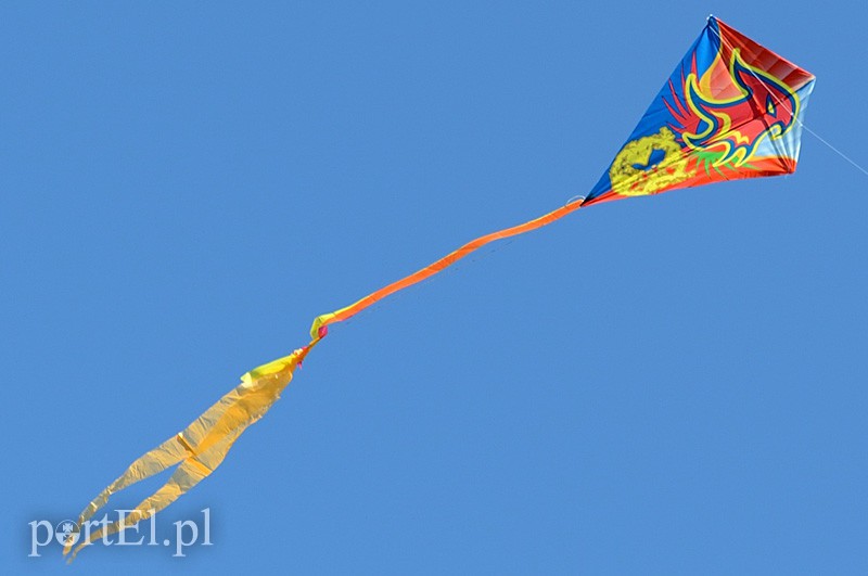 Zawody latawcowe zdjęcie nr 94946