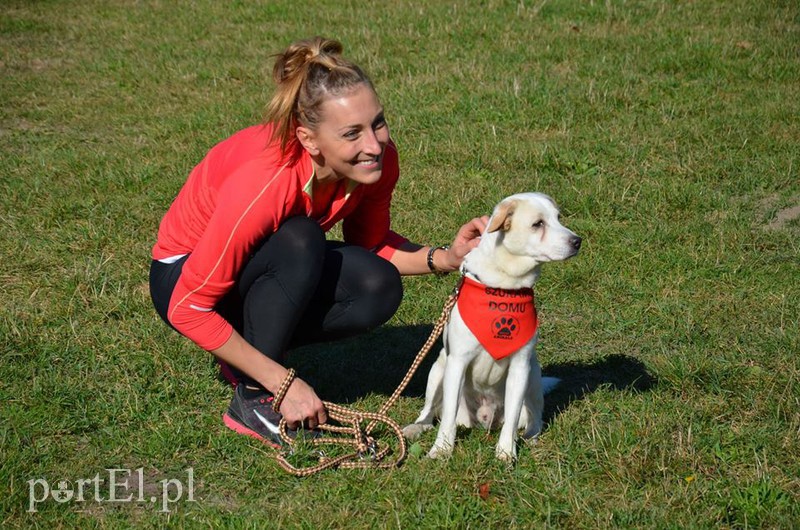 Biegali na sześć łap zdjęcie nr 94971