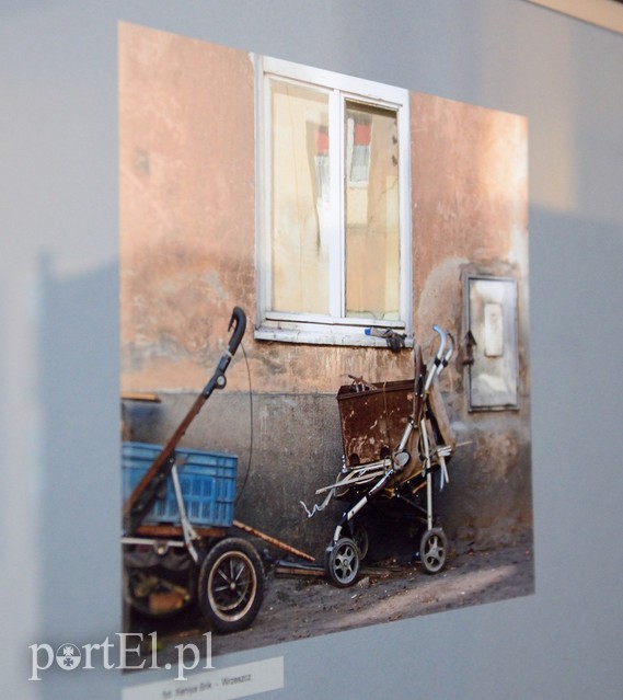 Życie Gdańska w Elblągu zdjęcie nr 95075