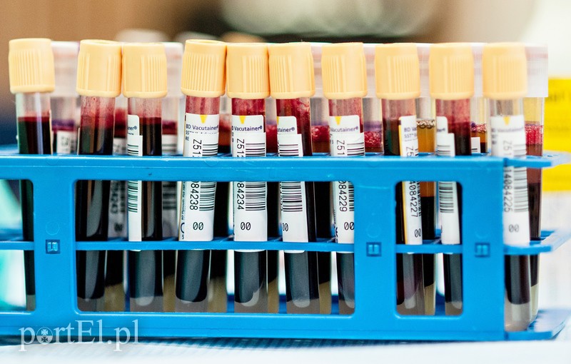 Krew w prezencie od gastronomika zdjęcie nr 98118