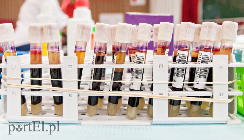 Krew w prezencie od gastronomika zdjęcie nr 98116