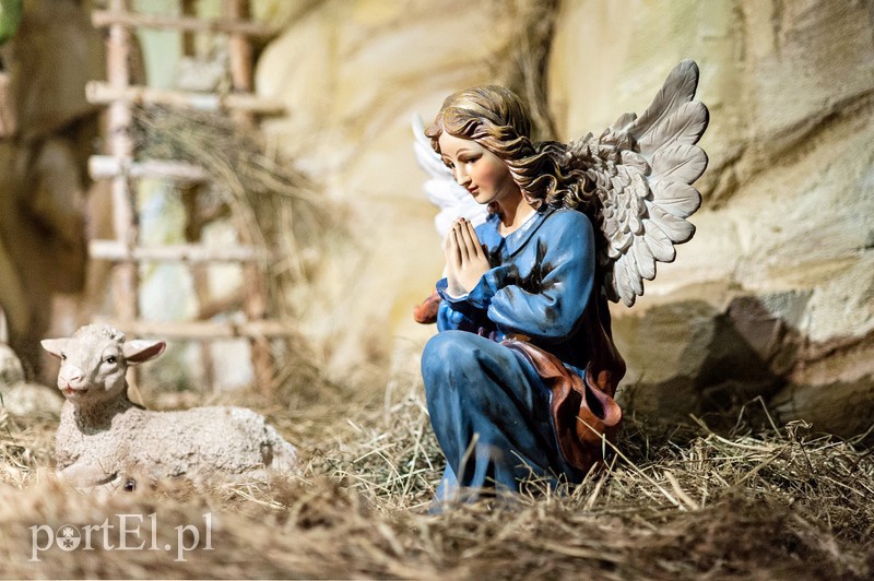 Skąd się wzięły szopki zdjęcie nr 98812