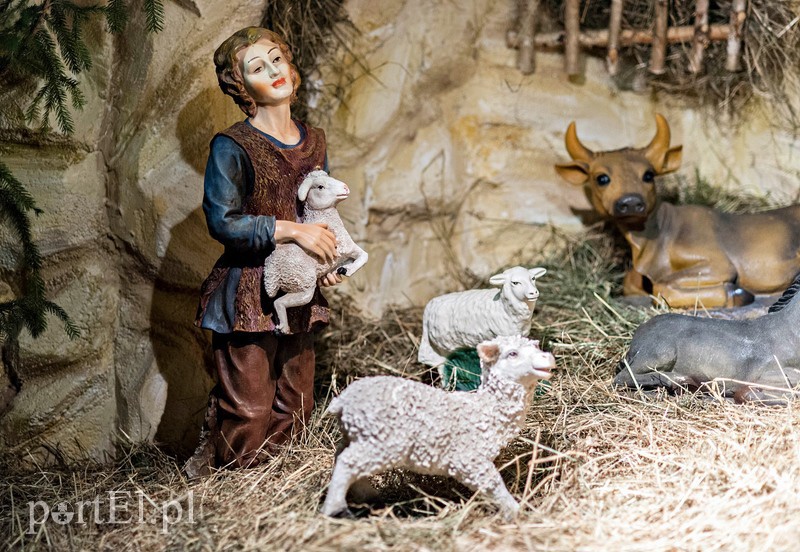 Skąd się wzięły szopki zdjęcie nr 98813