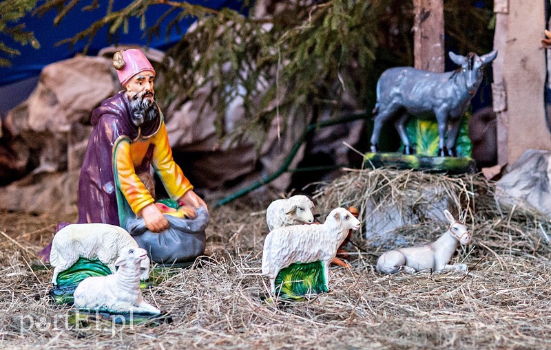 Skąd się wzięły szopki zdjęcie nr 98806