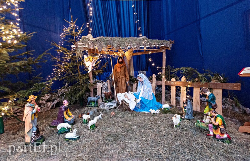 Skąd się wzięły szopki zdjęcie nr 98805